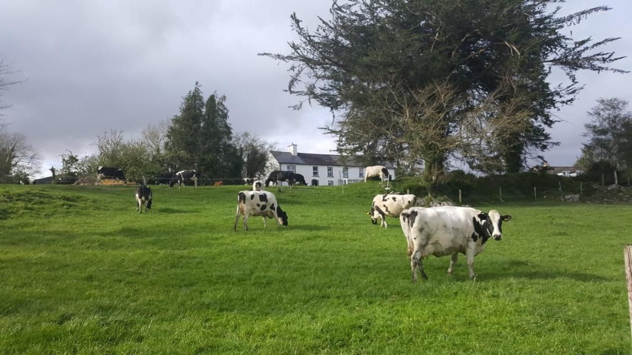 Отели типа «постель и завтрак» Gortamullen House, Kenmare Кенмэр-15